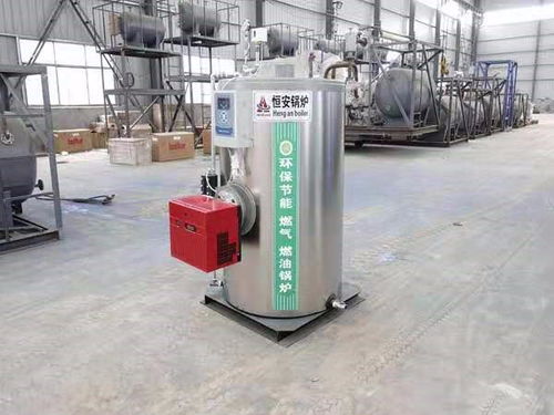 宁县300公斤燃油蒸汽发生器新品 更新中